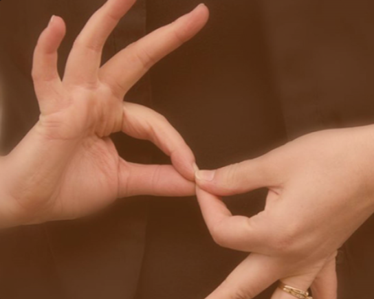Língua Gestual